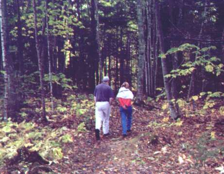 Maine 2000